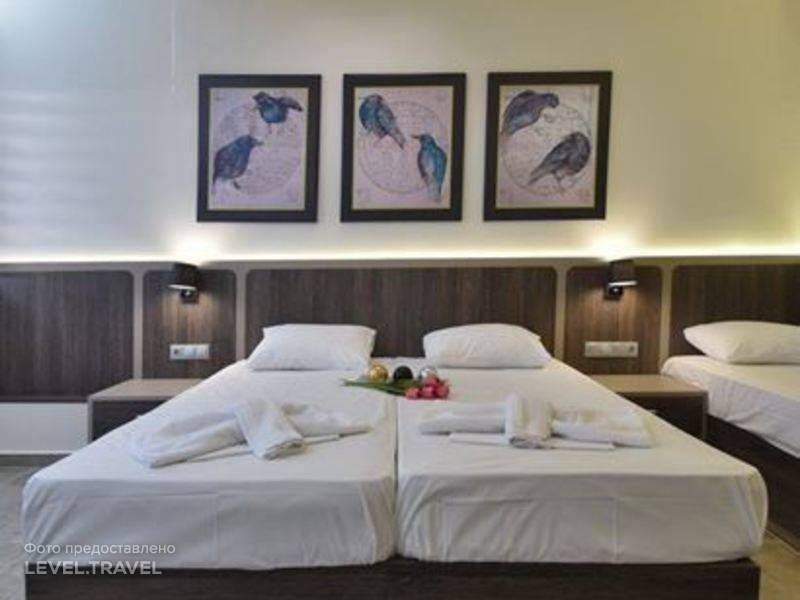 hotel-Dafni Plus Hotel-GR