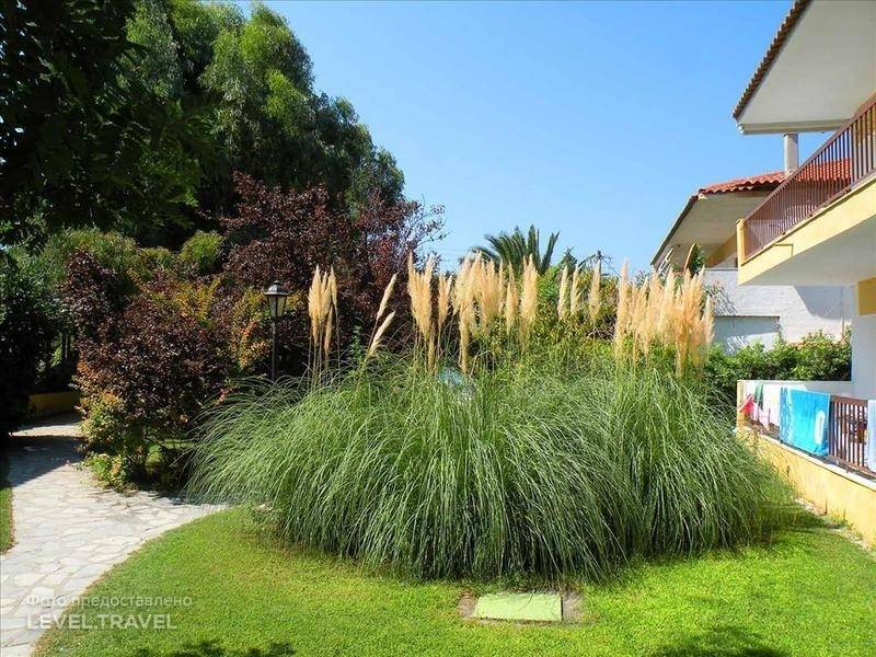 hotel-Ioli Apartments Fourka Beach-GR