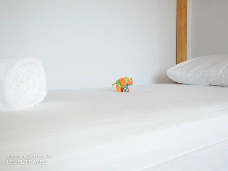 Nck Bedtel Samui – Hostel