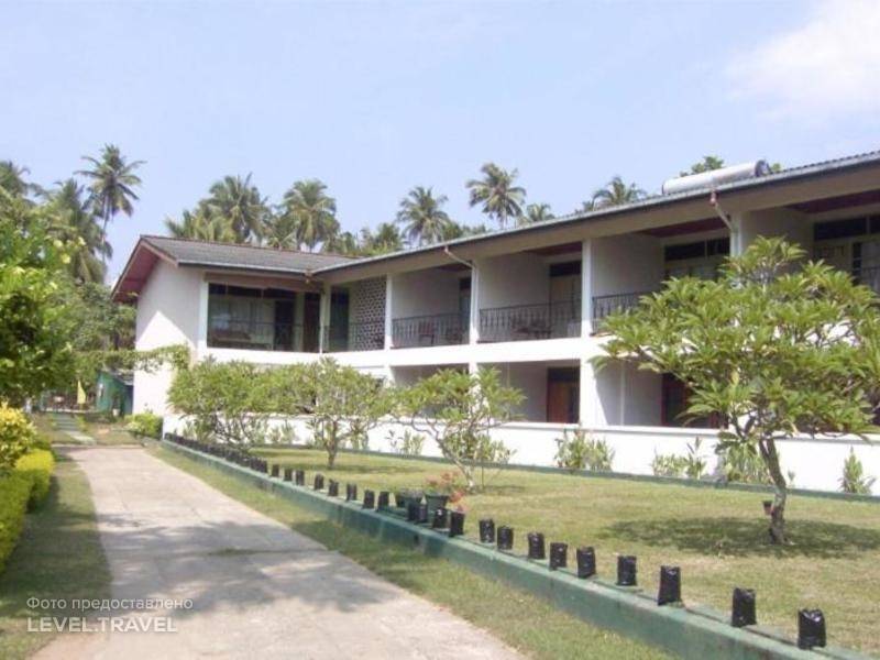 Polhena reef garden 3. Villa Polhena Sri Lanka.