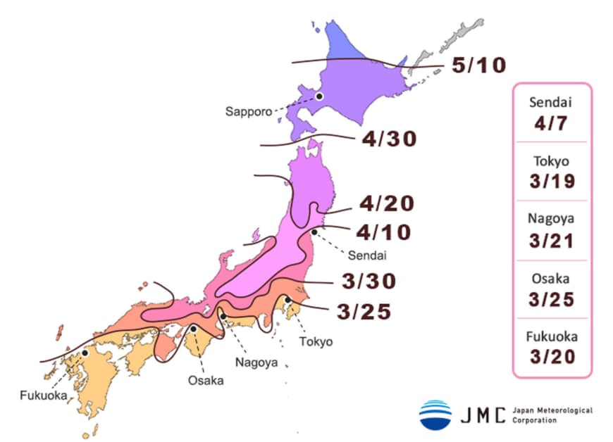 Зоны и время цветения сакуры в Японии
