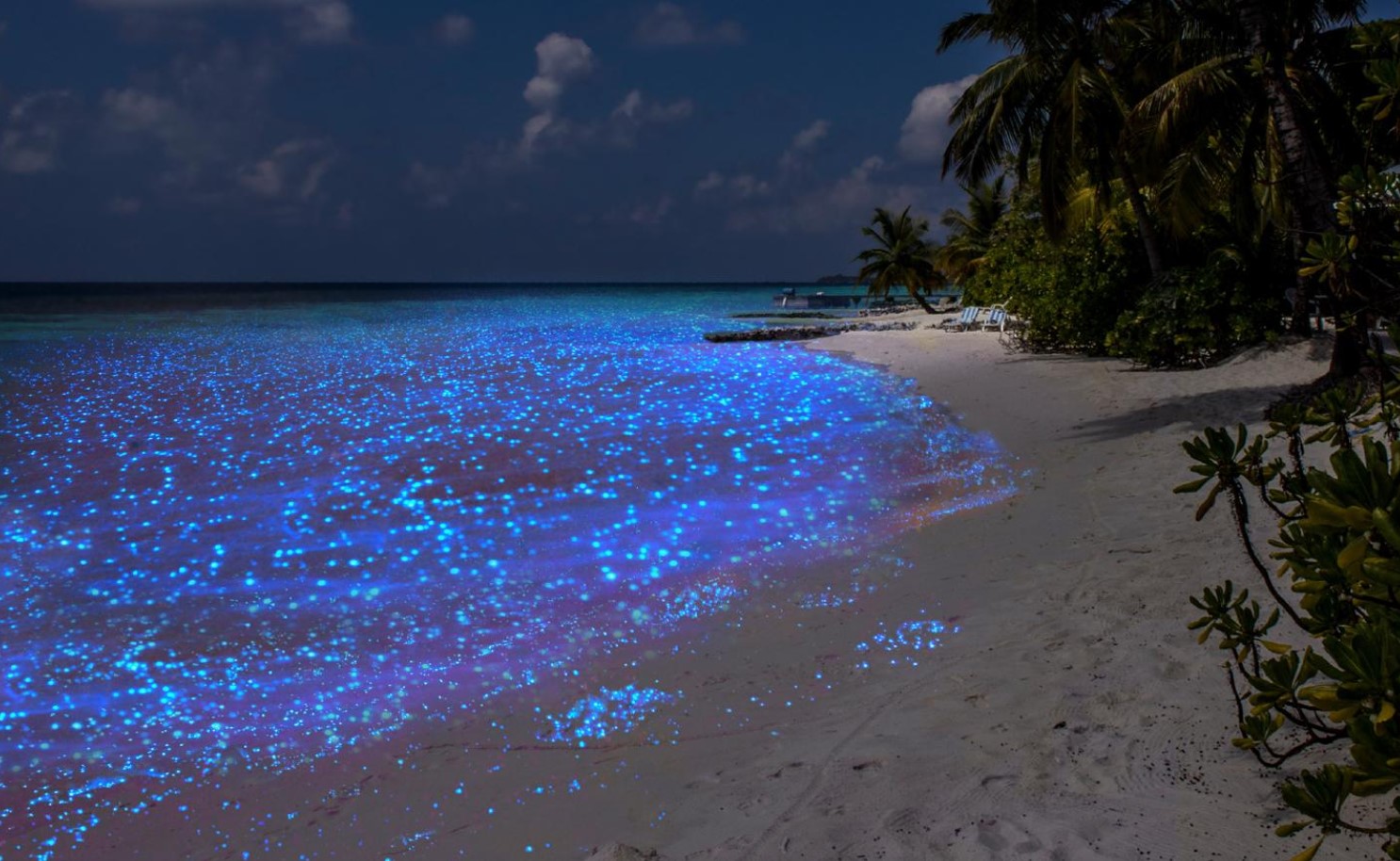 Светящийся остров на Мальдивах