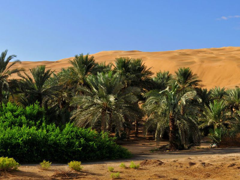 Оазис Лива в 150 километрах от Абу-Даби