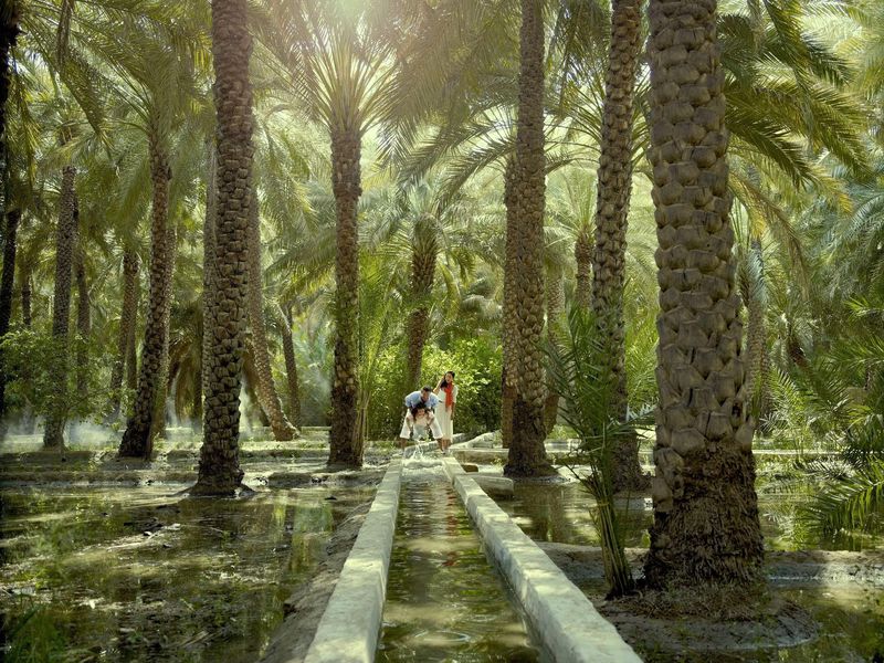 Сад в эмирате Аль-Айн